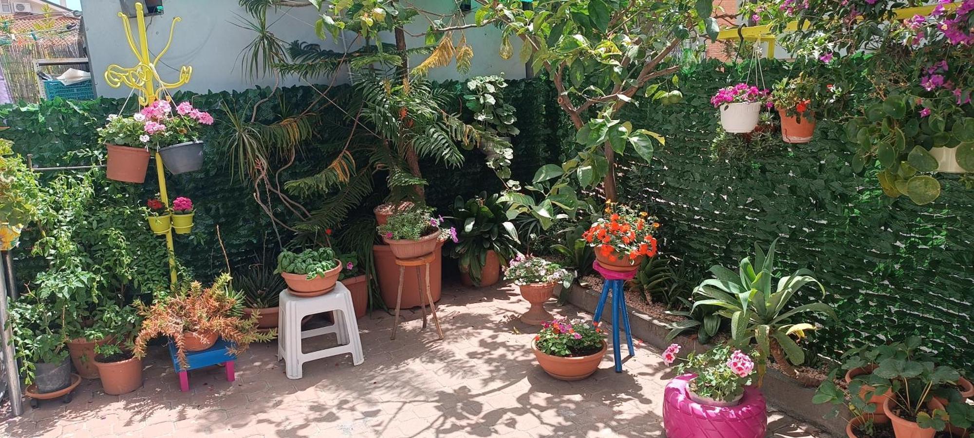 B&B Home Sweet Home Diano Marina Ngoại thất bức ảnh